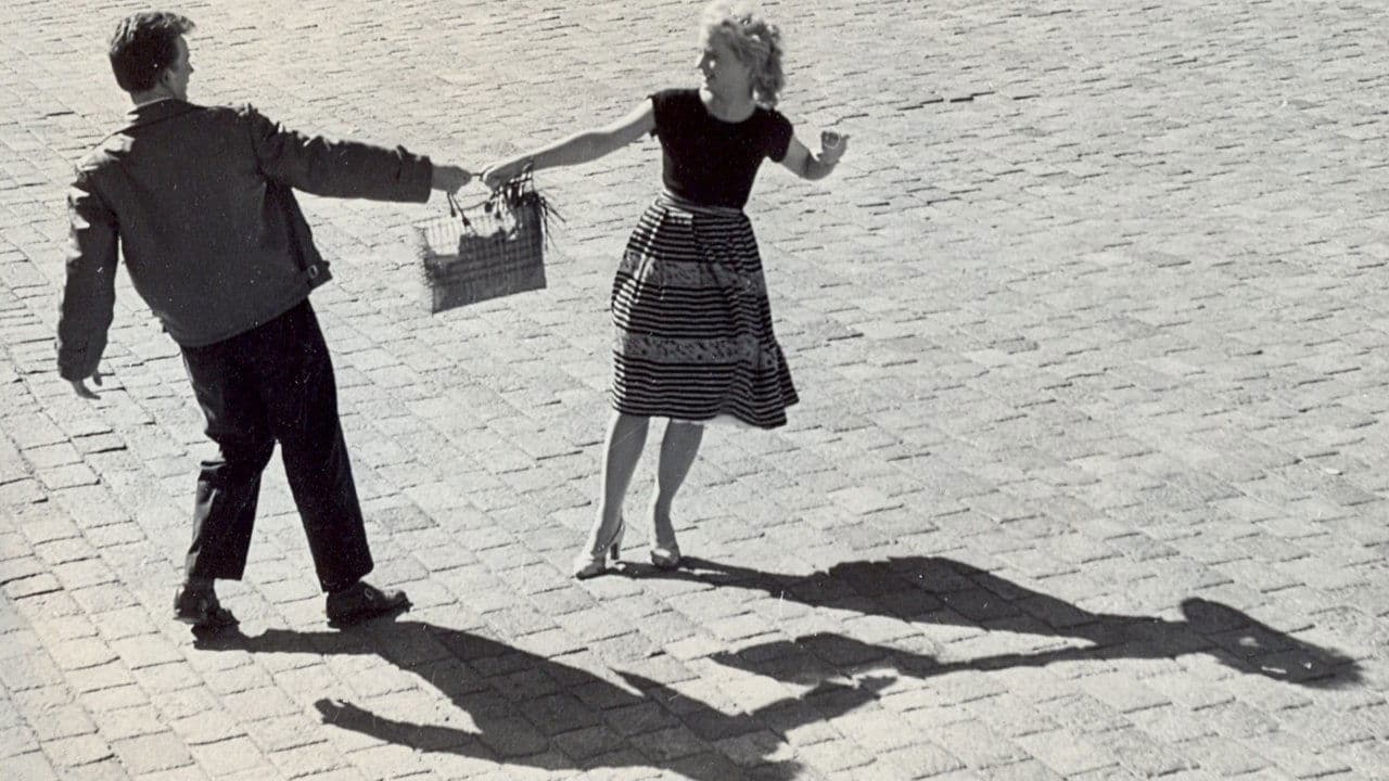 Šķēps un rozeの背景画像