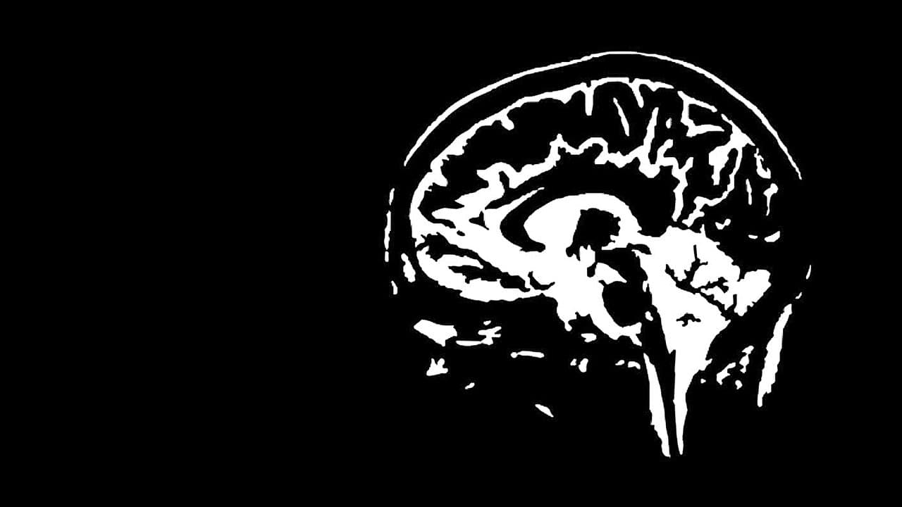 Jan Jaap van der Wal: Onderbewustの背景画像