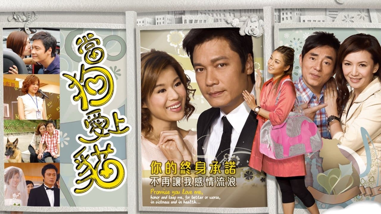 當狗愛上貓の背景画像