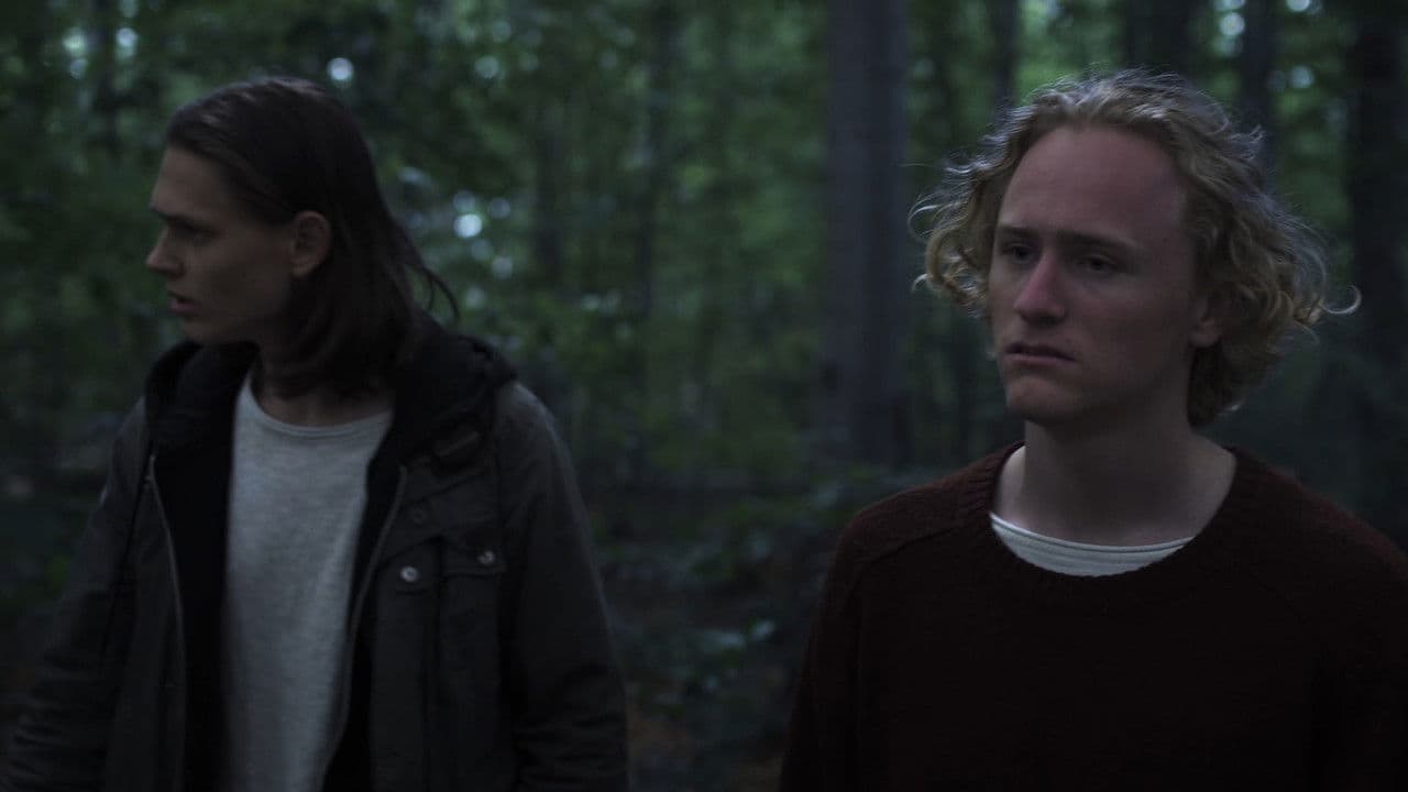 Lighterの背景画像