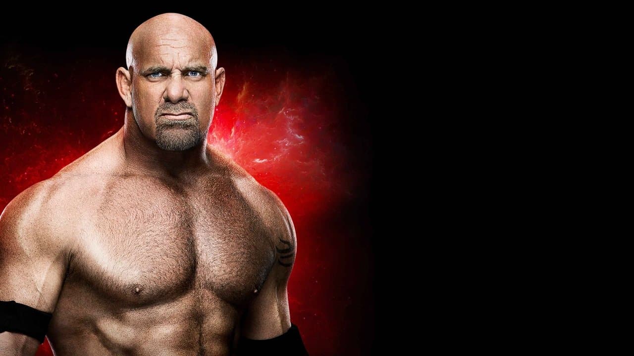 WWE Fastlane 2017の背景画像