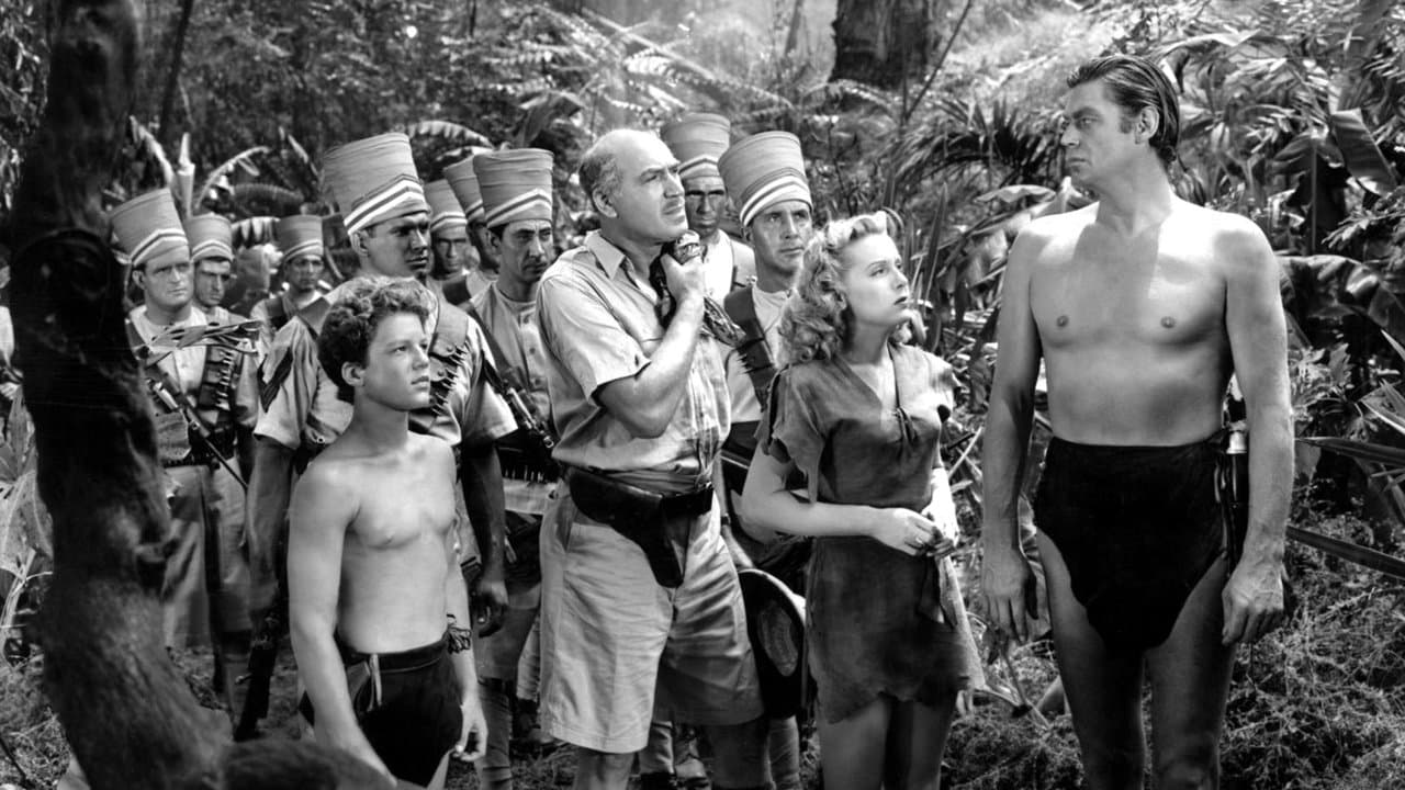 Tarzan and the Huntressの背景画像