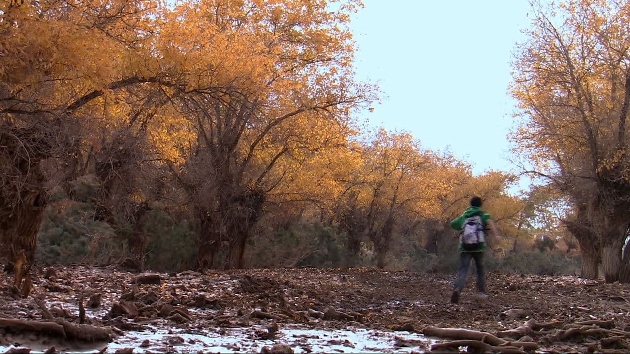胡杨深处是我家の背景画像