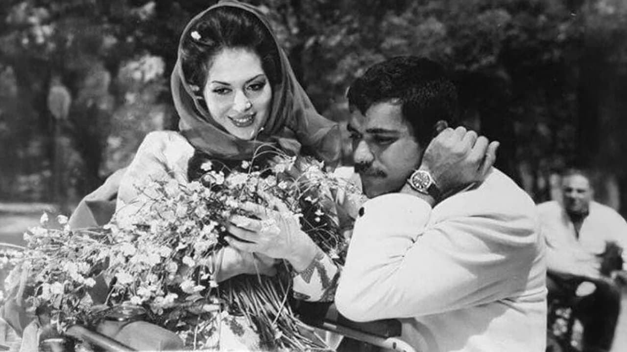 Merhametの背景画像