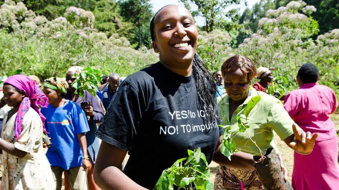 Ariseの背景画像