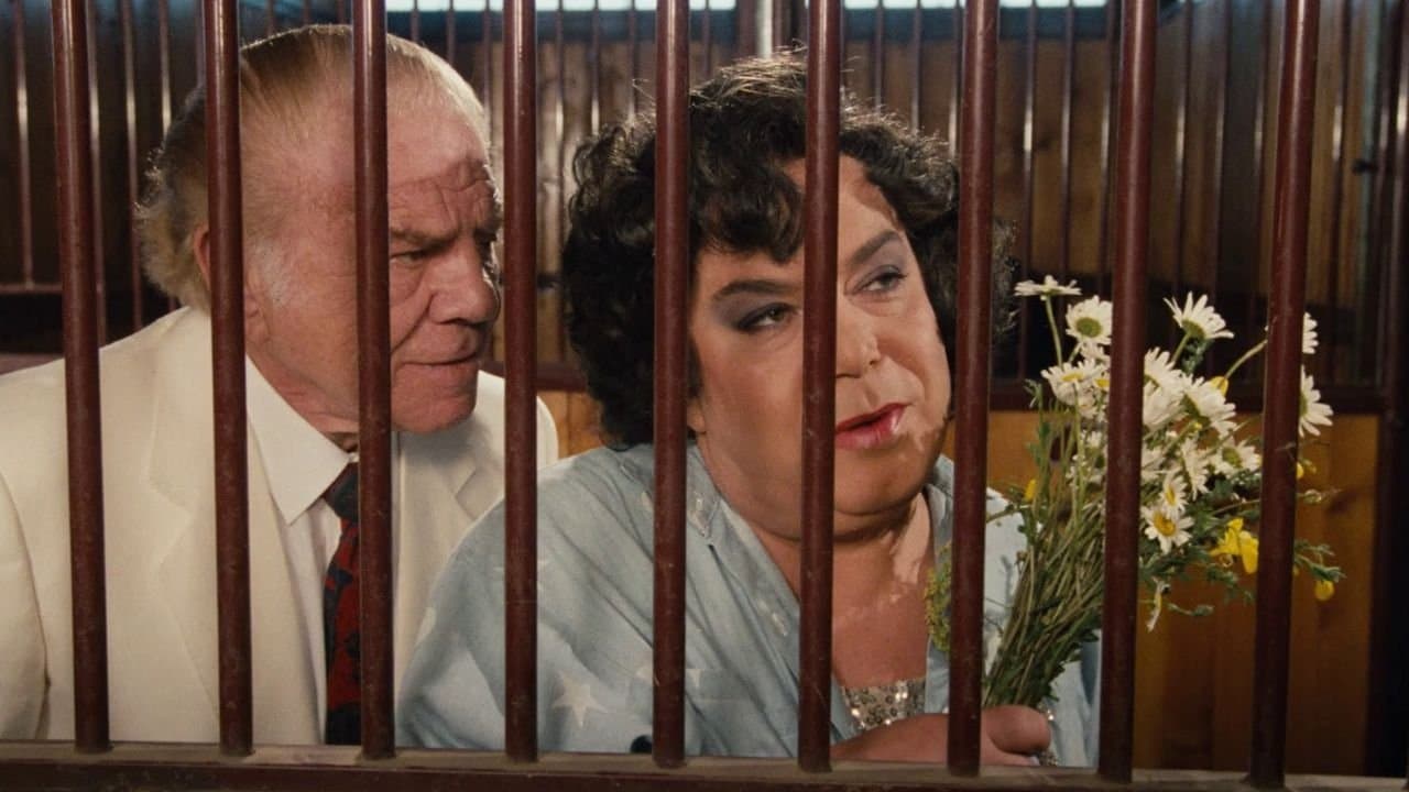 BelliFreschiの背景画像