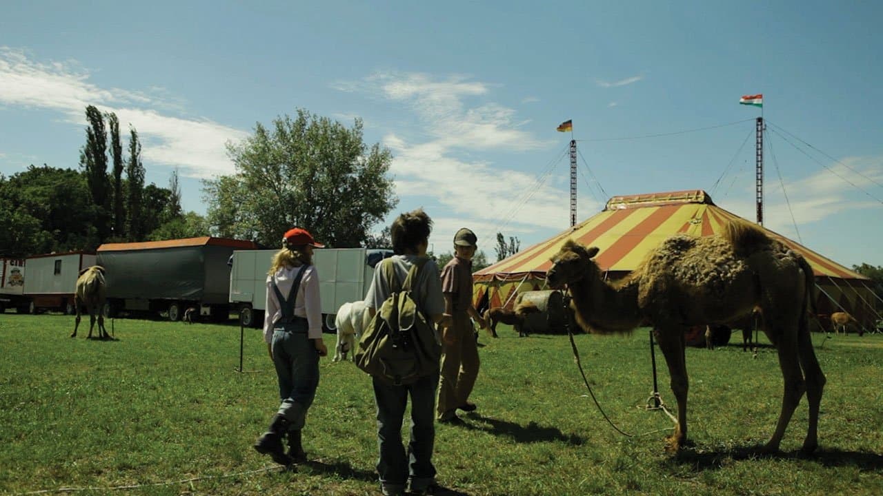 Sherlock Holmes nevébenの背景画像