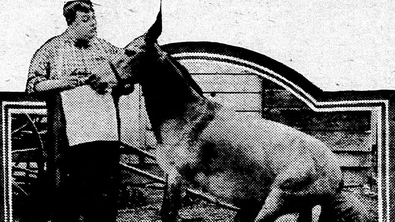 His Wedding Nightの背景画像