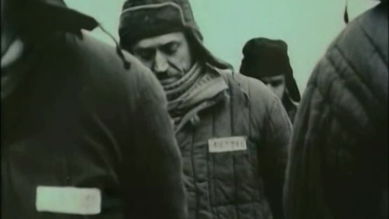 Vernyy Ruslan (Istoriya karaulnoy sobaki)の背景画像