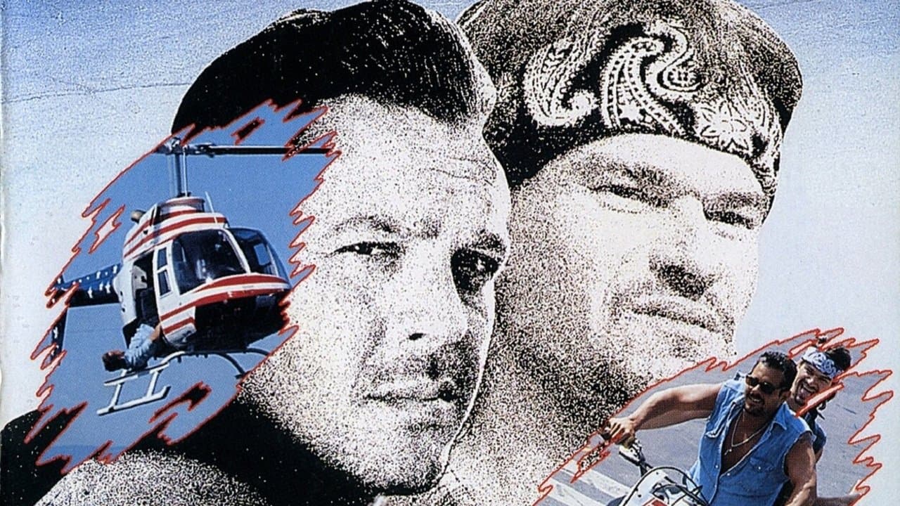 Squanderersの背景画像