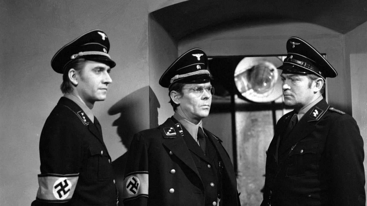 Rytířの背景画像