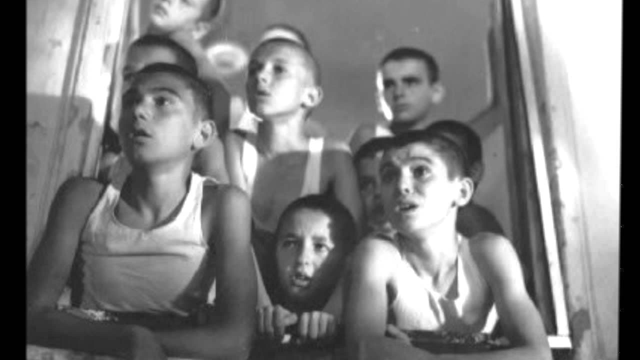 Lulëkuqet mbi mureの背景画像