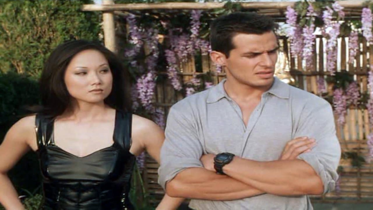 The Chaos Factorの背景画像