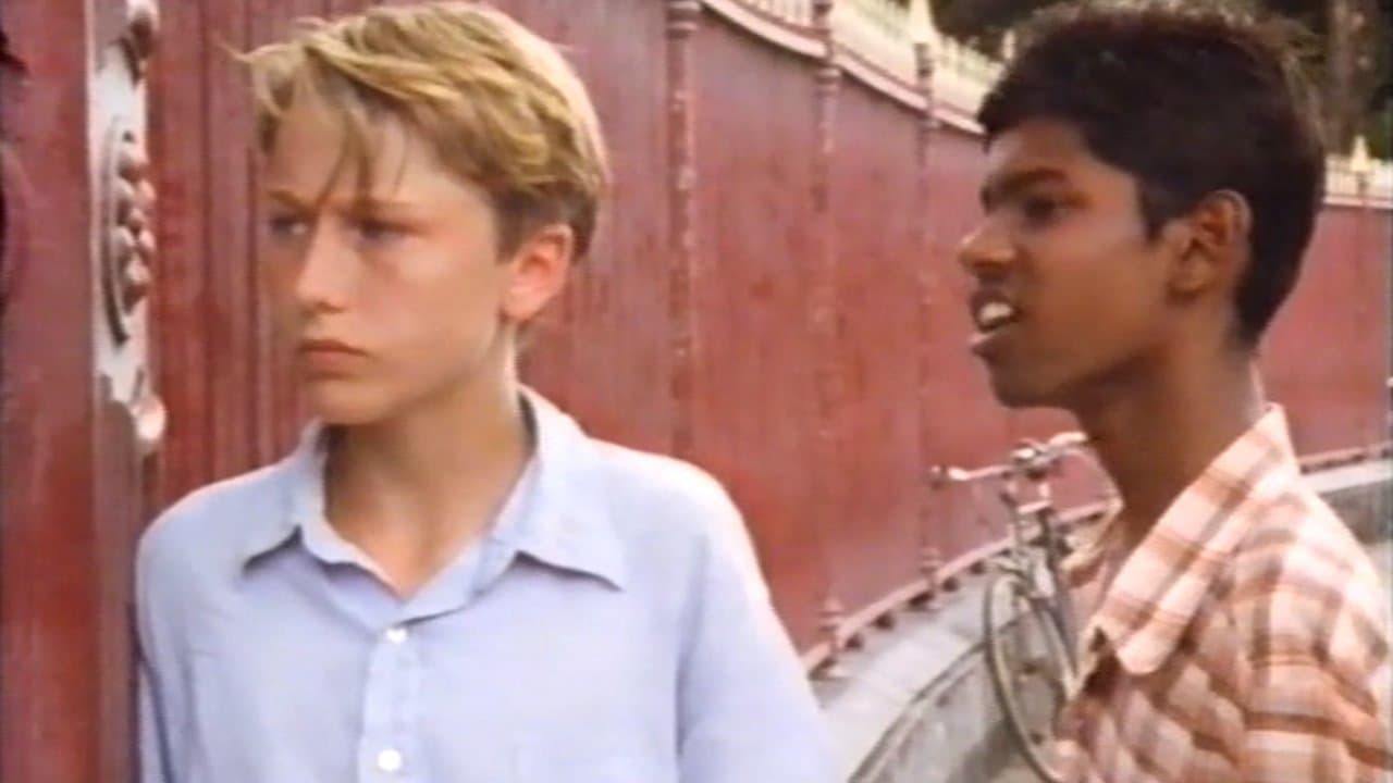 The Hummingbird Treeの背景画像