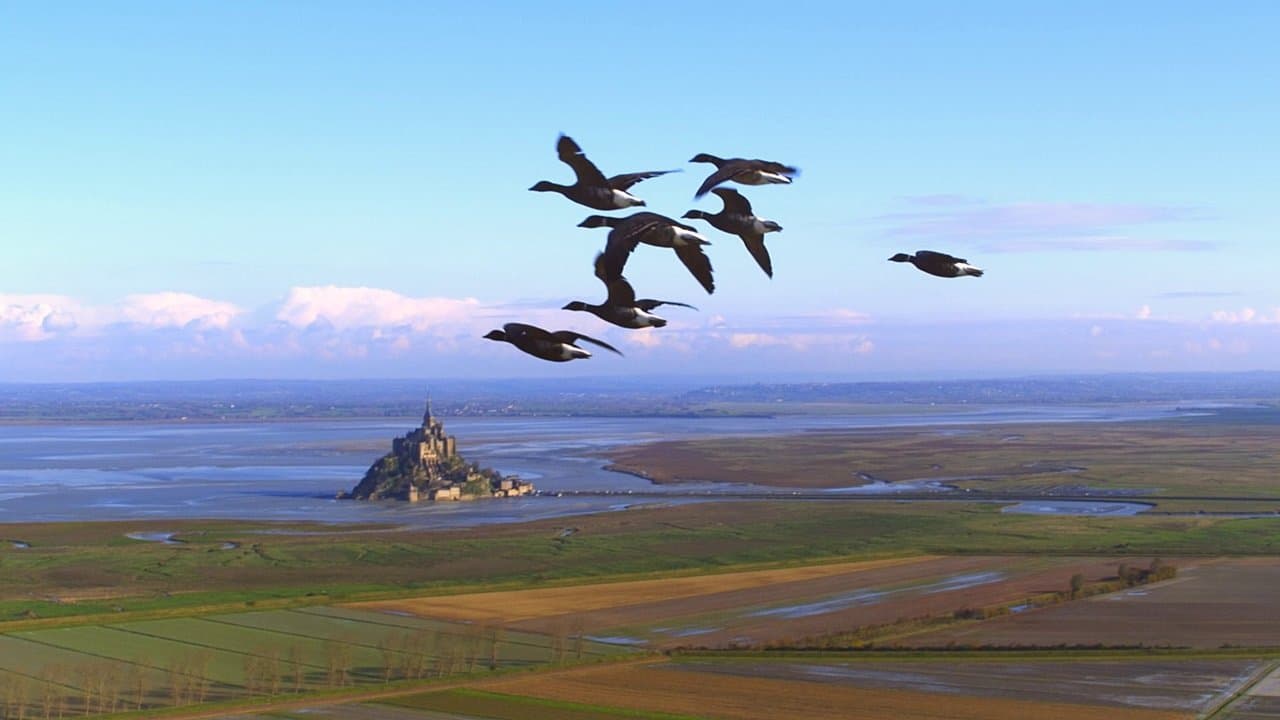 Wings 3Dの背景画像