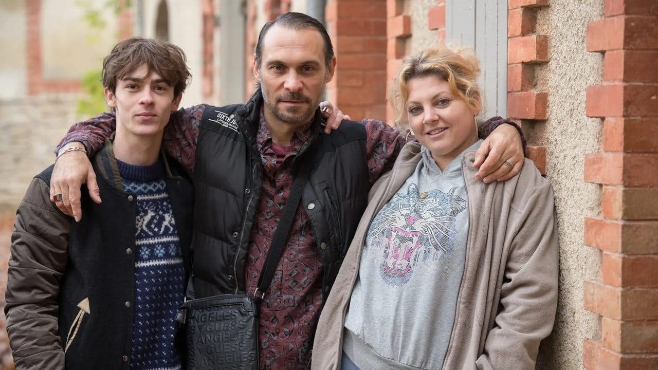 Les Malvenusの背景画像