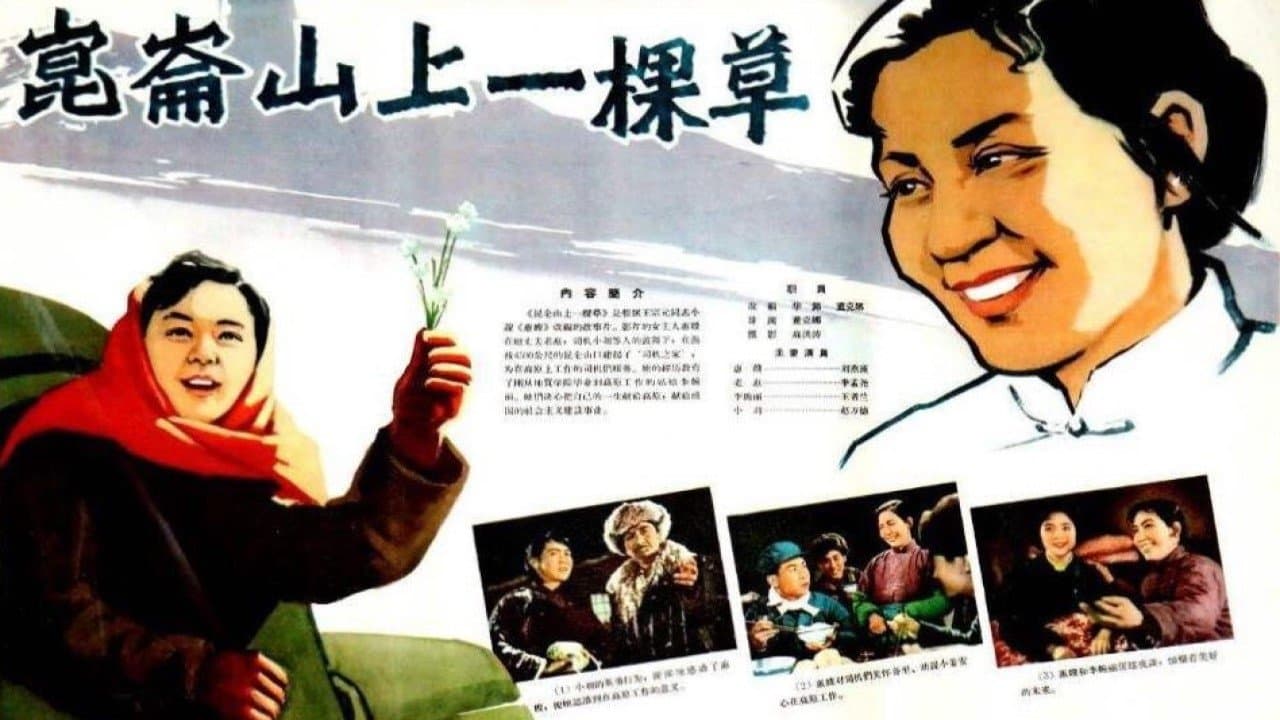 昆仑山上一棵草の背景画像