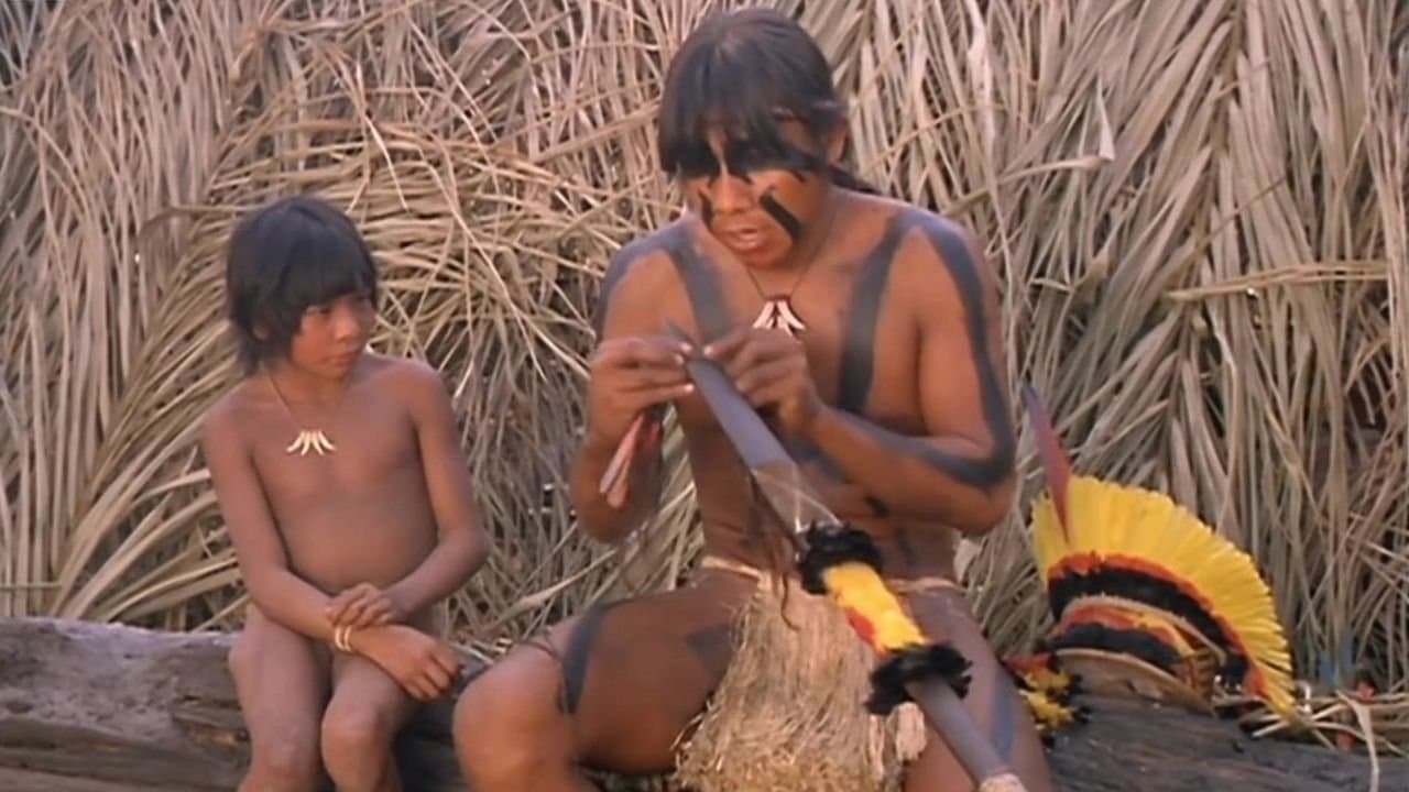 Avaeté - Semente da Vingançaの背景画像