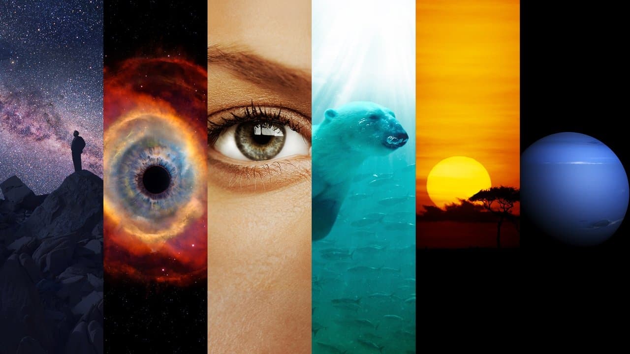 コスモス:時空と宇宙の背景画像