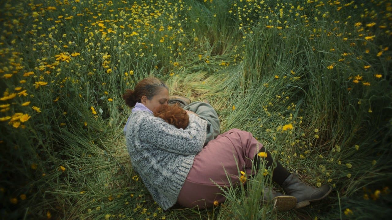 ماء العينの背景画像