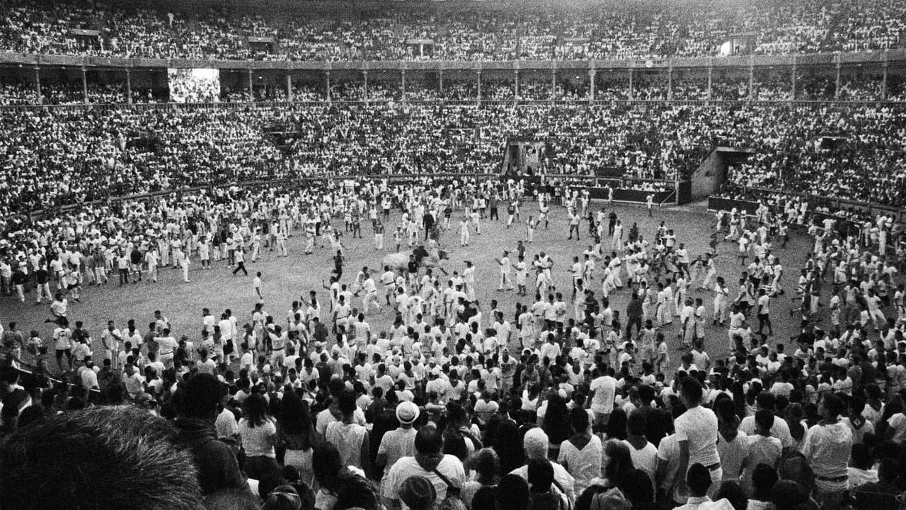 Maiteminaの背景画像