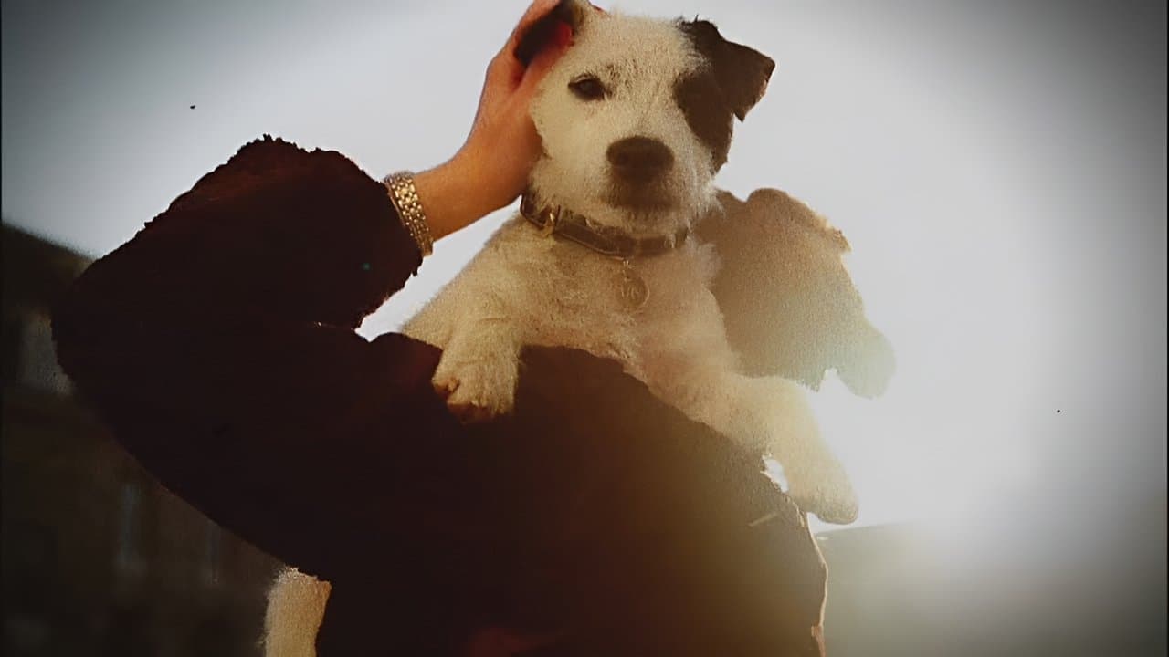 Double Cross: The True Story of the D-day Spiesの背景画像