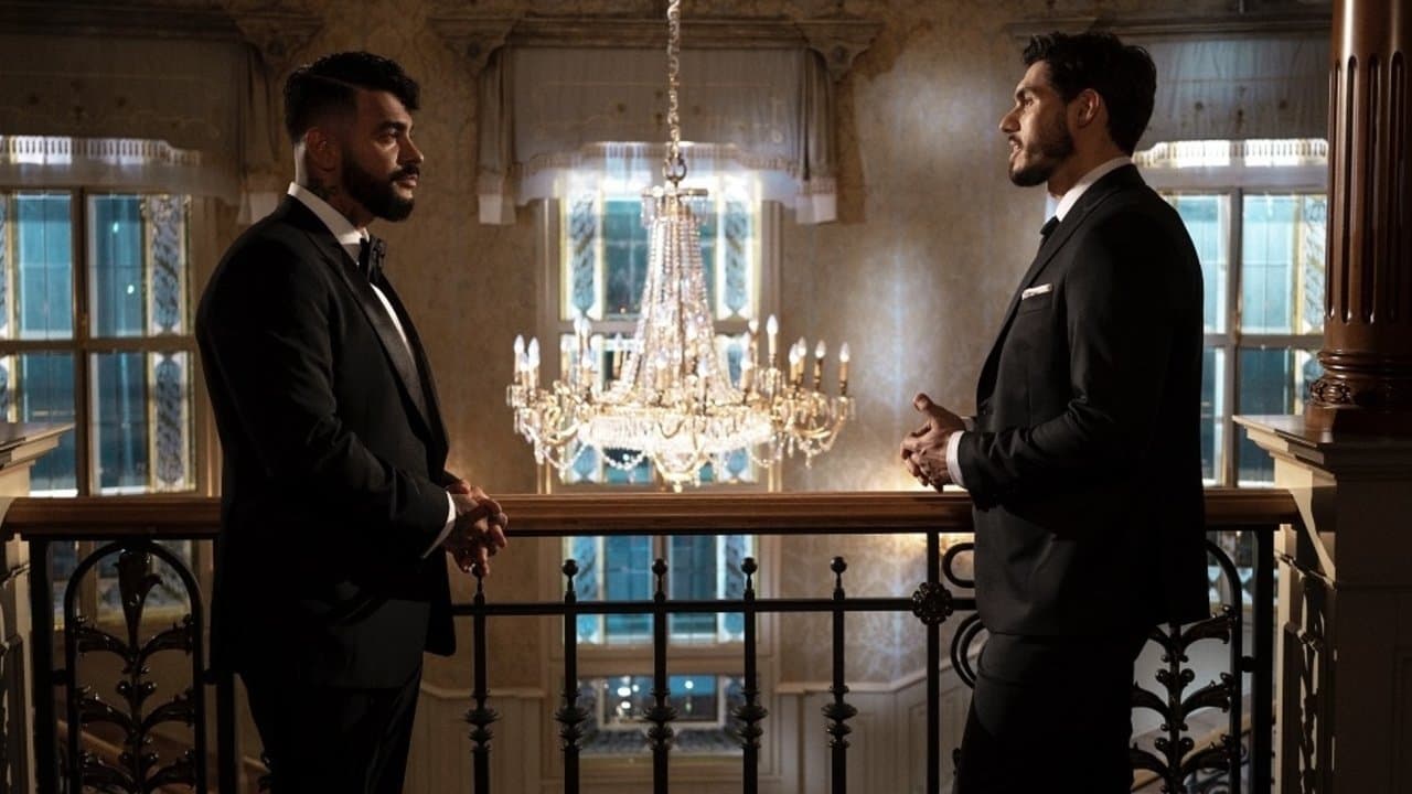 Холостякの背景画像