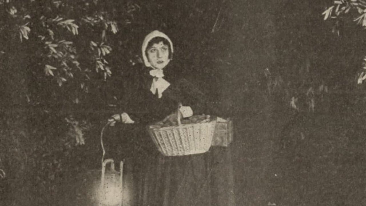 The Seekersの背景画像