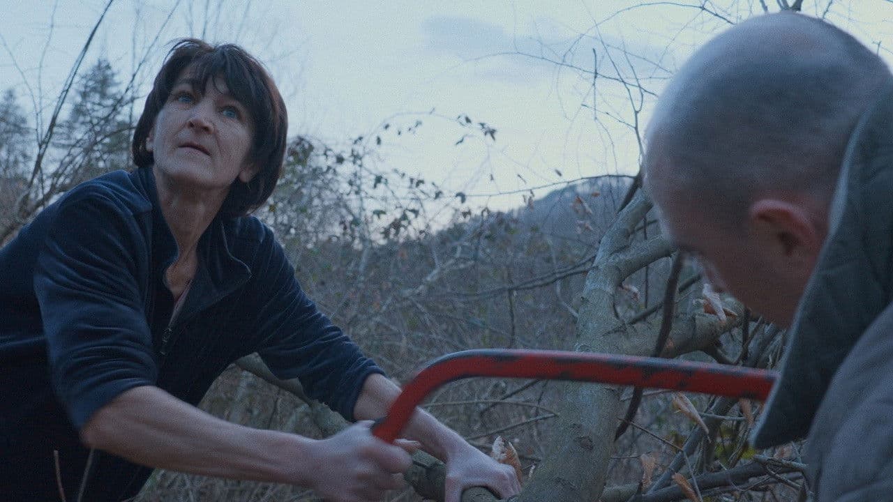 Prekid vatreの背景画像