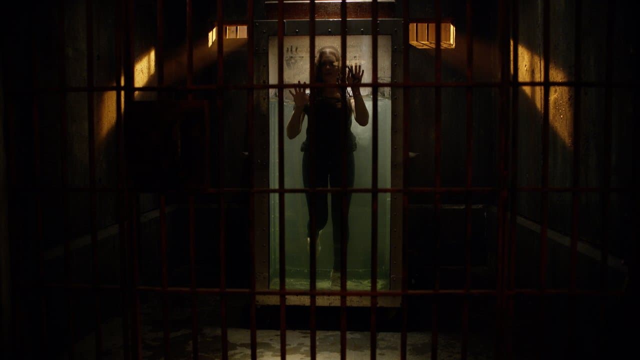 ＃フォロー・ミーの背景画像