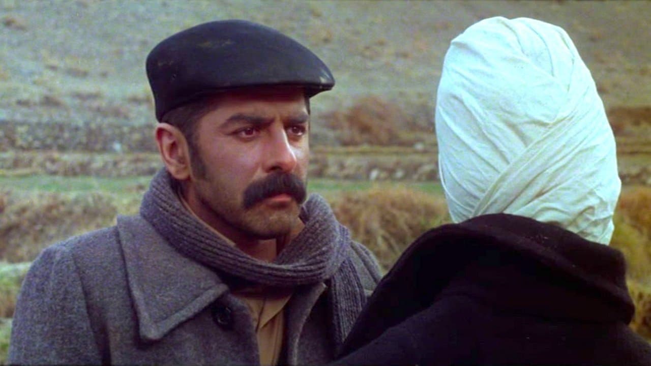 سایه های بلند بادの背景画像