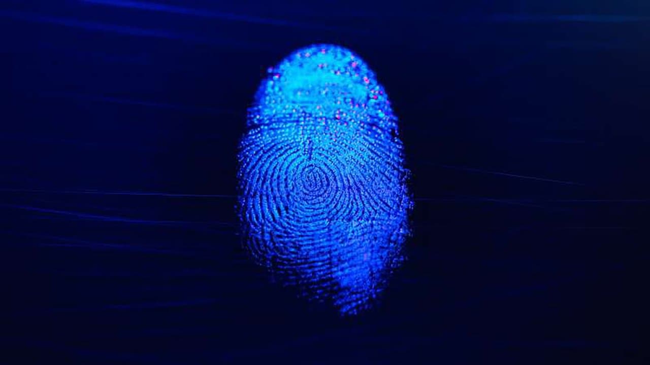 Extreme Forensicsの背景画像