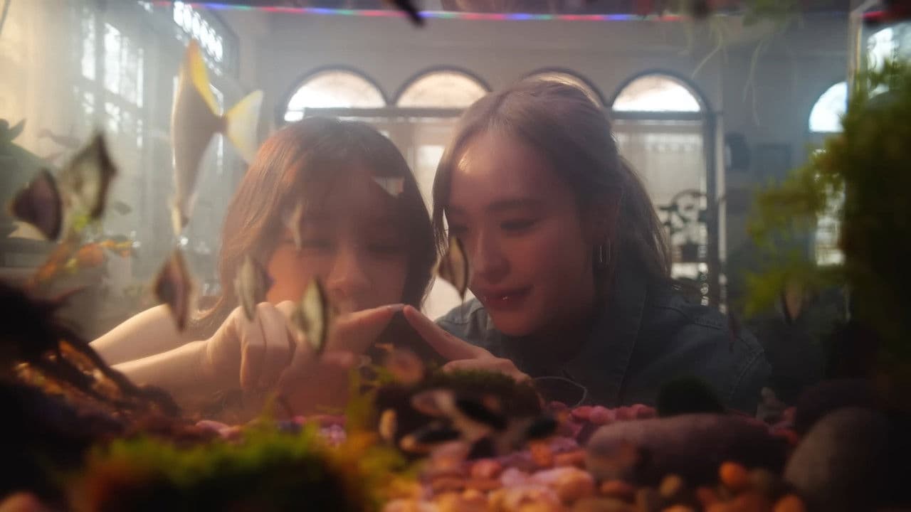 ให้รักกังวานในใจの背景画像