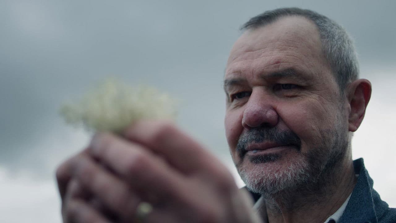 Untameableの背景画像