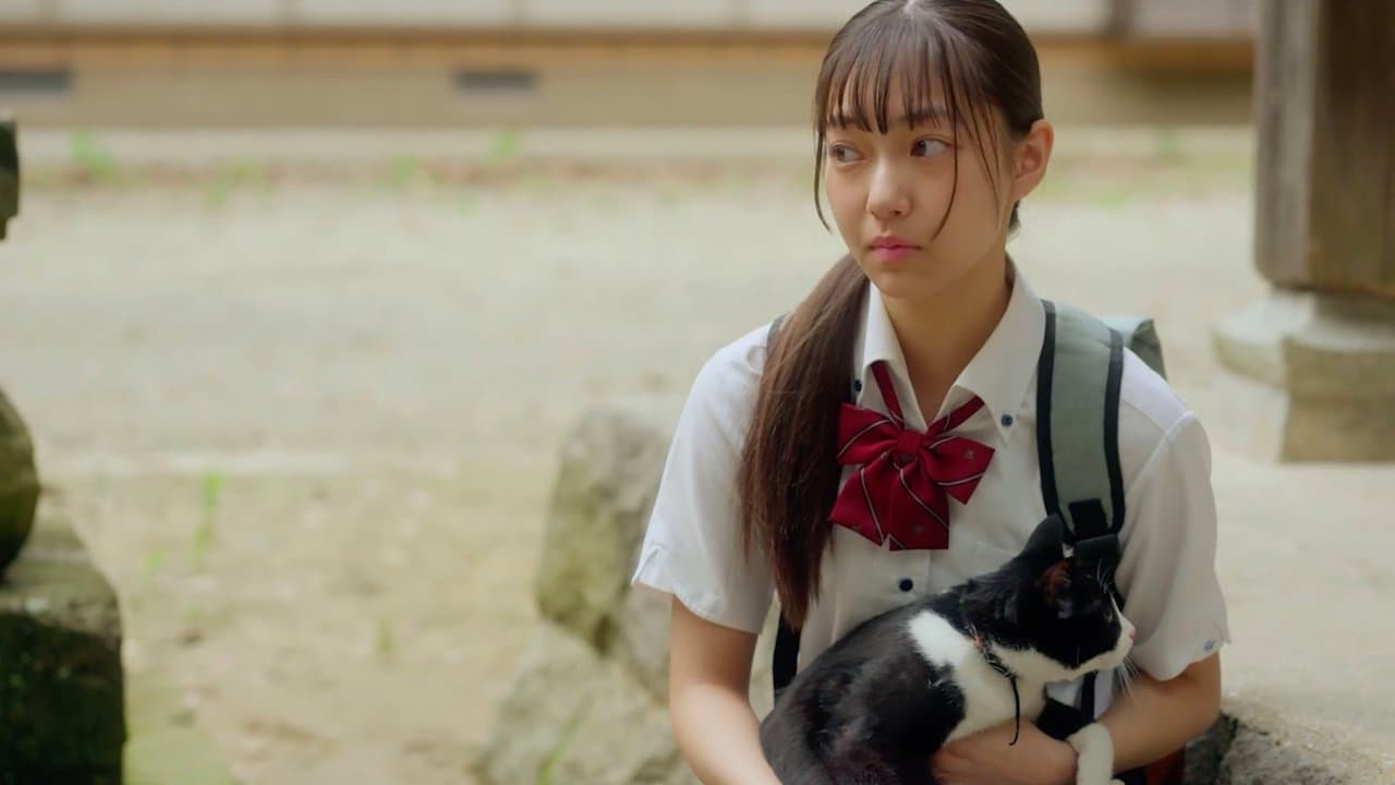 猫と私と、もう1人のネコの背景画像