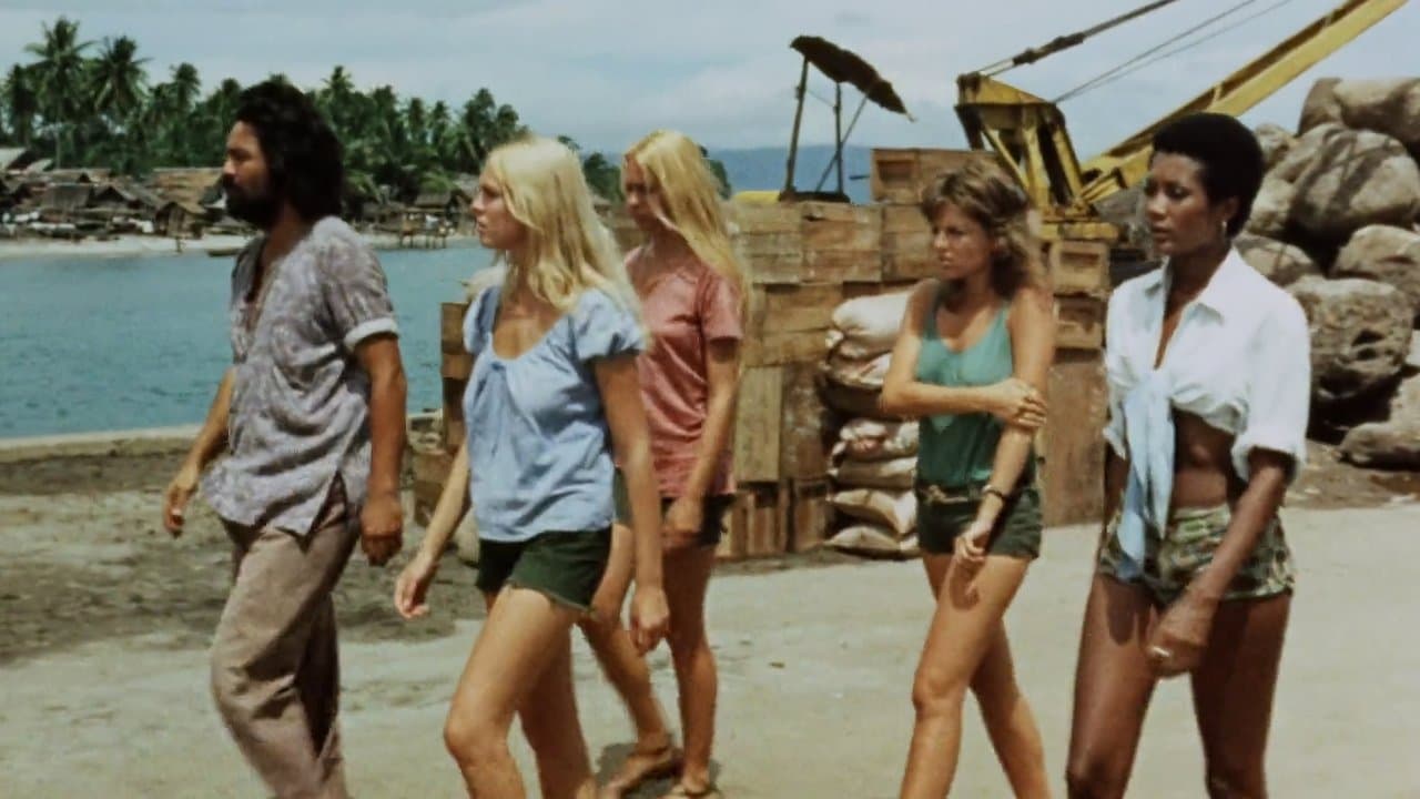 The Hot Boxの背景画像