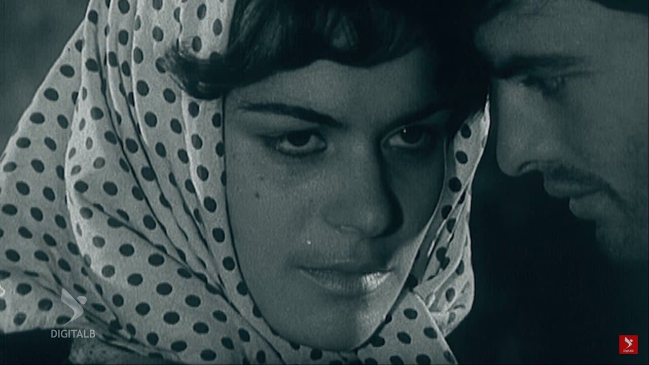 Dasma e shtyrëの背景画像