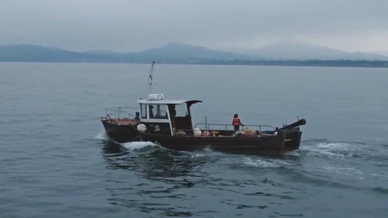 Low Tideの背景画像