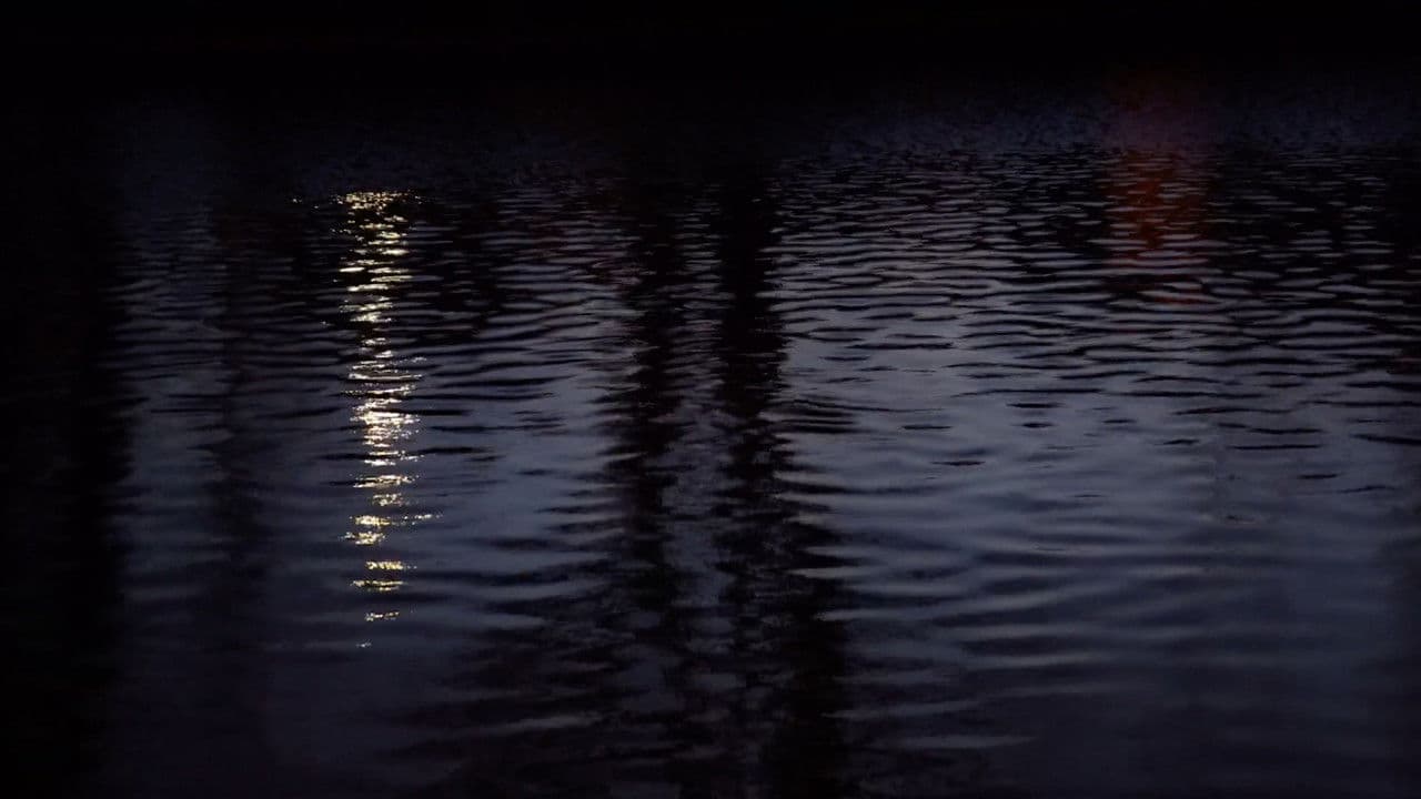 Phosphenesの背景画像