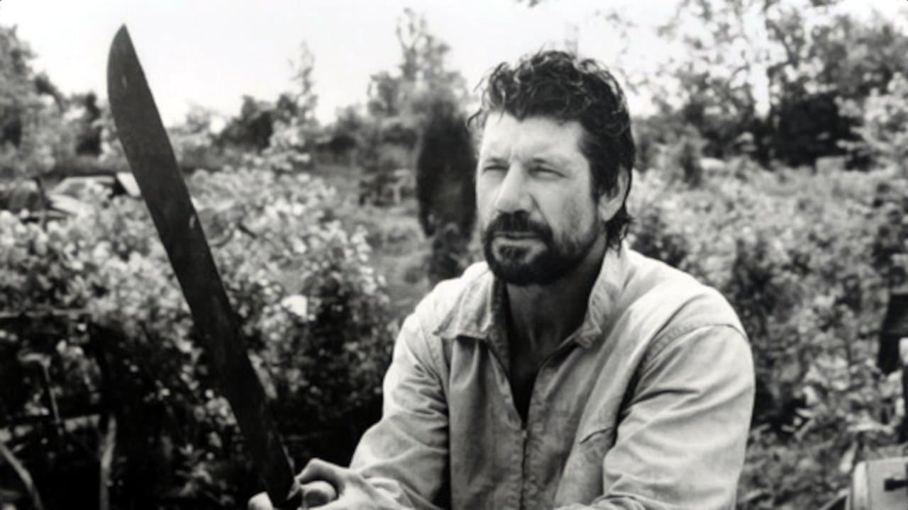 Florida Straitsの背景画像