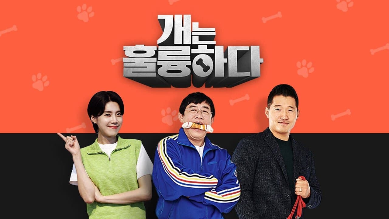 개는 훌륭하다の背景画像