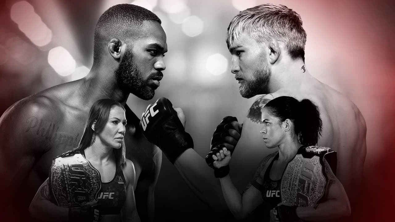 UFC 232: Jones vs. Gustafsson 2の背景画像
