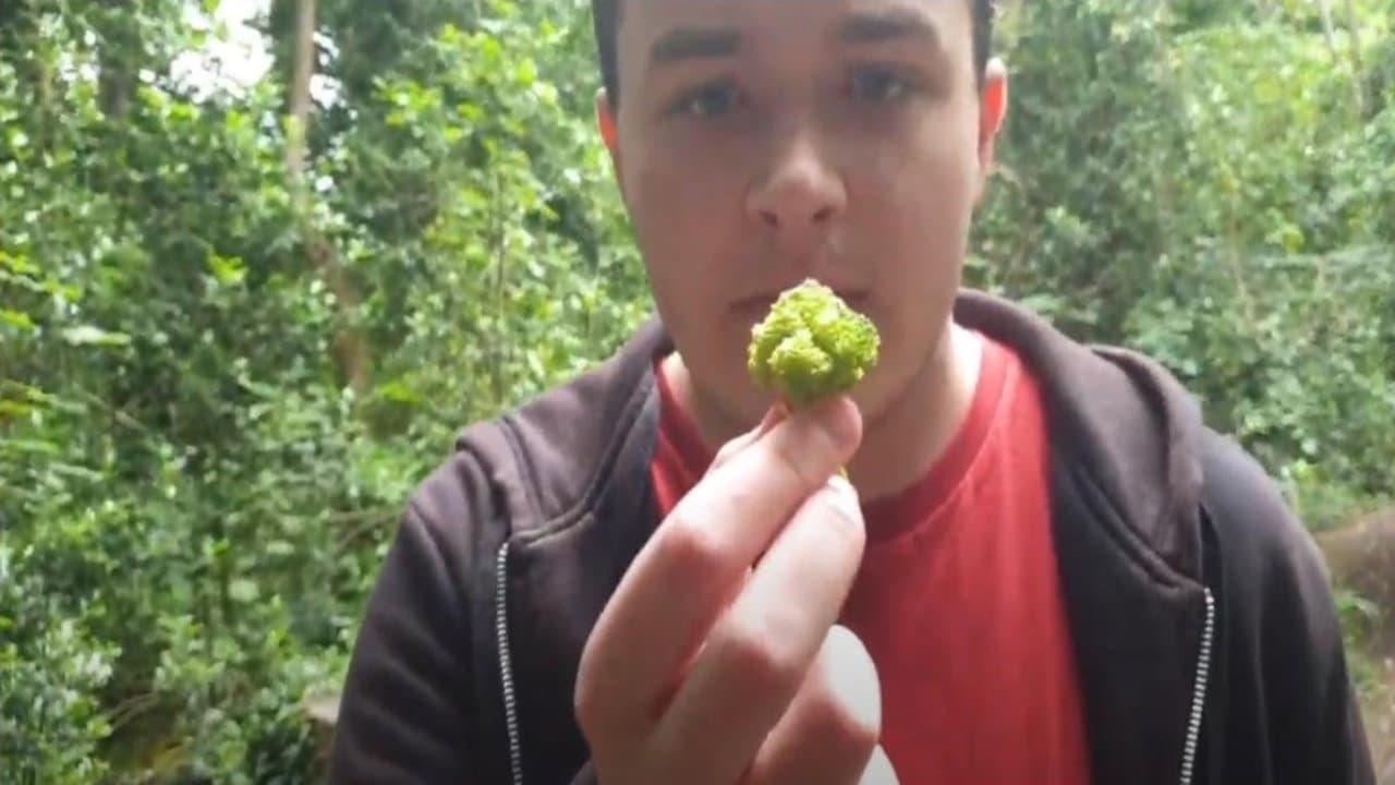 Teaman vs The Vegan King Chapter 1 (The Loli)の背景画像