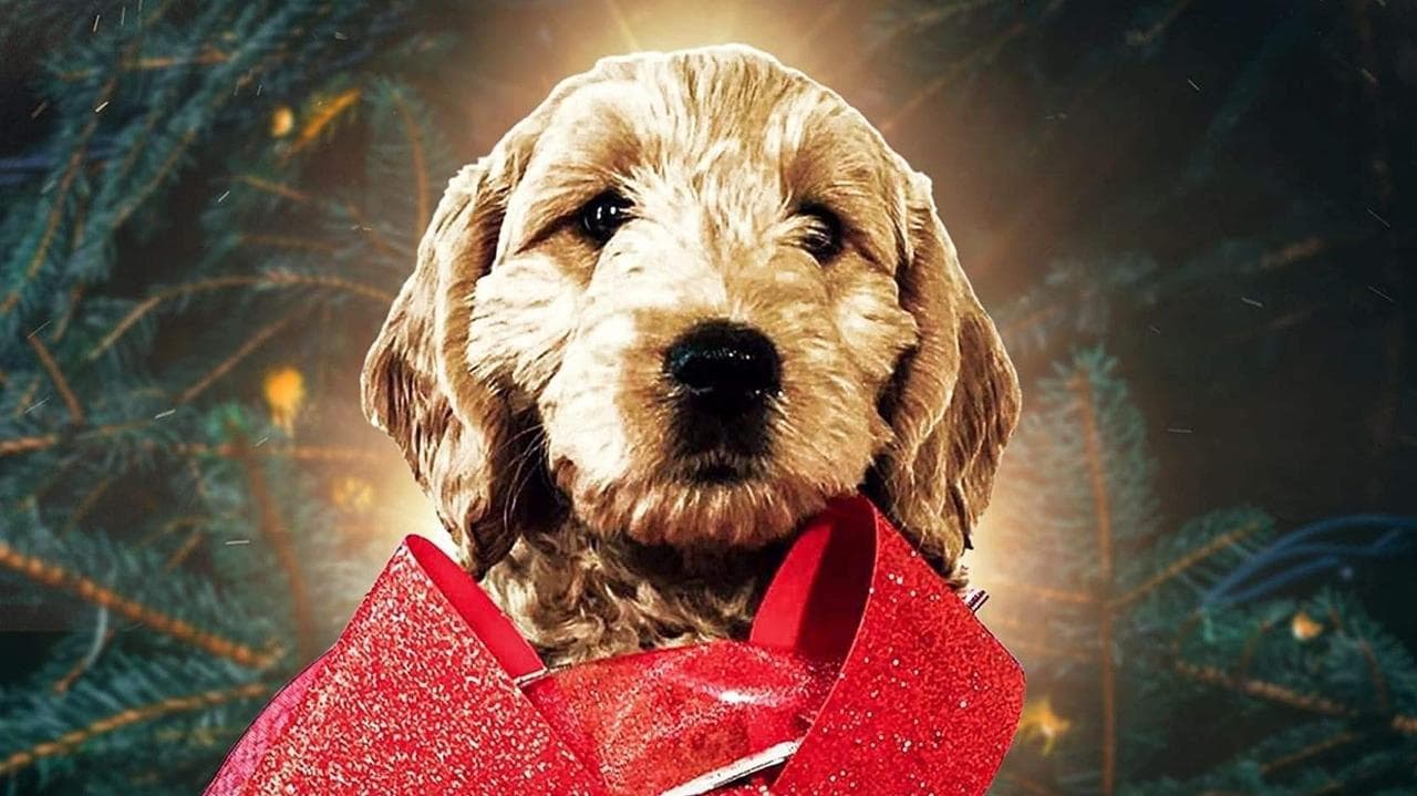 The Christmas Doodleの背景画像