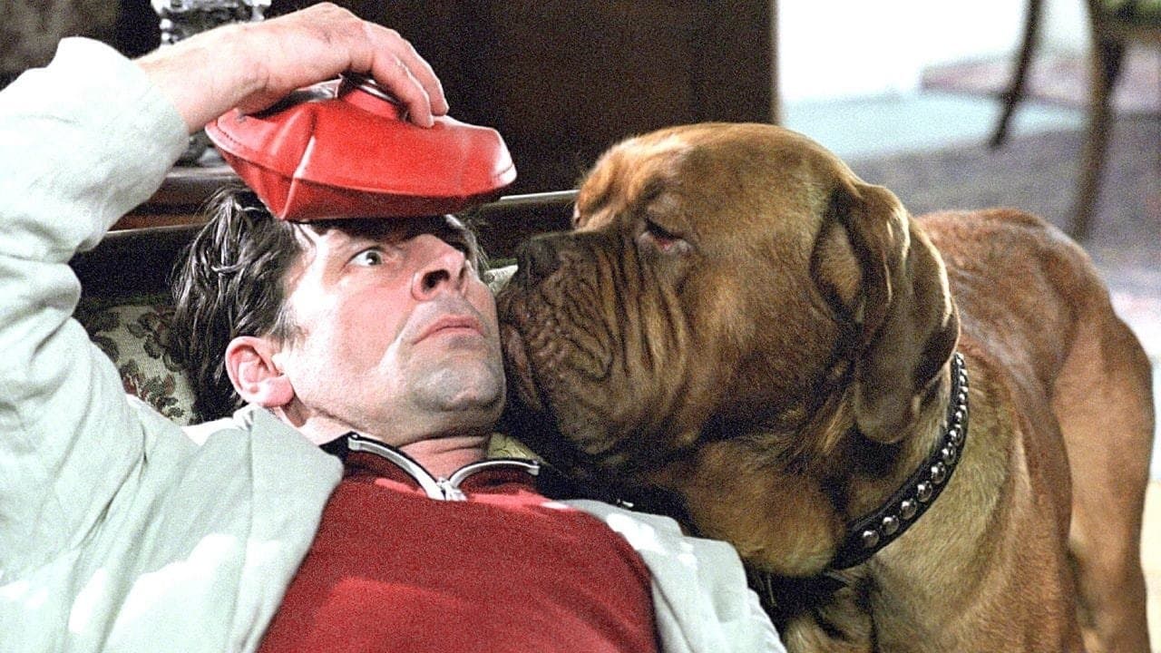 Körner und Köterの背景画像