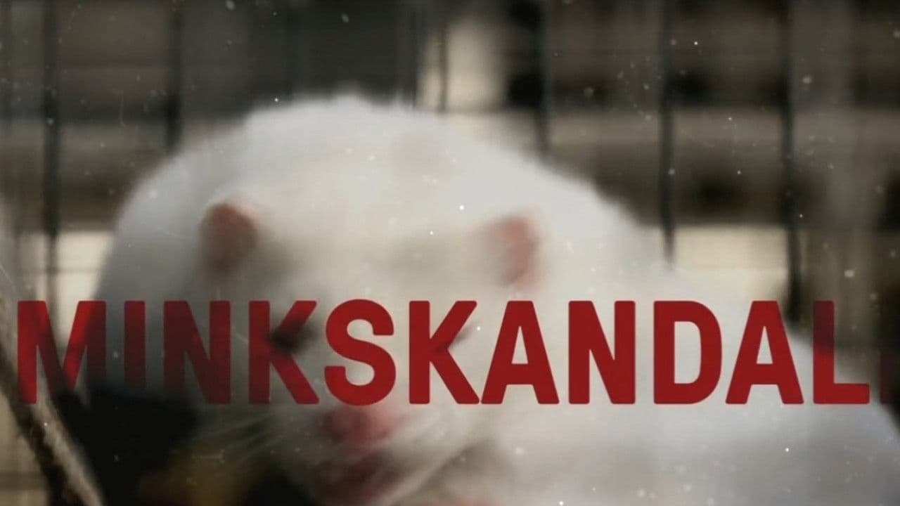 Minkskandalen - afgørelsens timeの背景画像