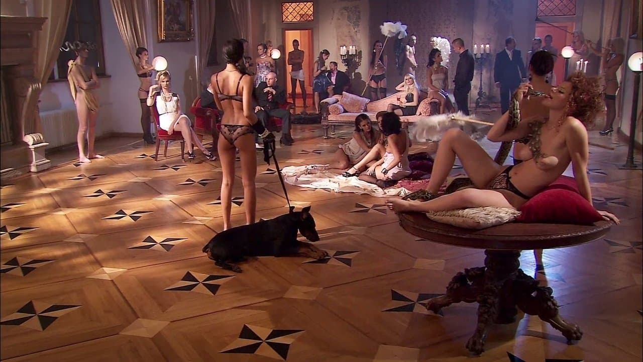 Ma première orgieの背景画像