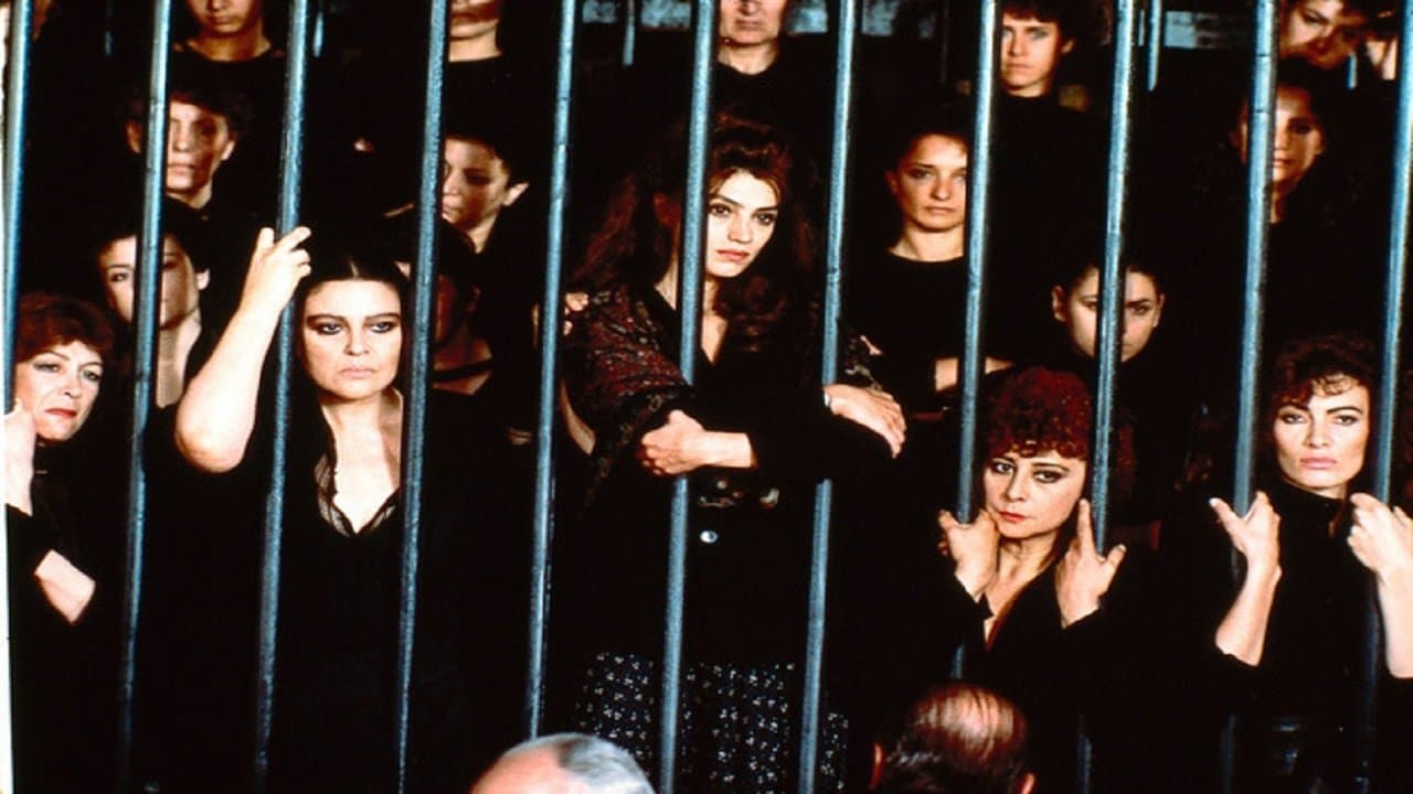 Un complicato intrigo di donne, vicoli e delittiの背景画像