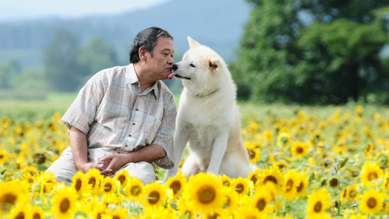 星守る犬の背景画像