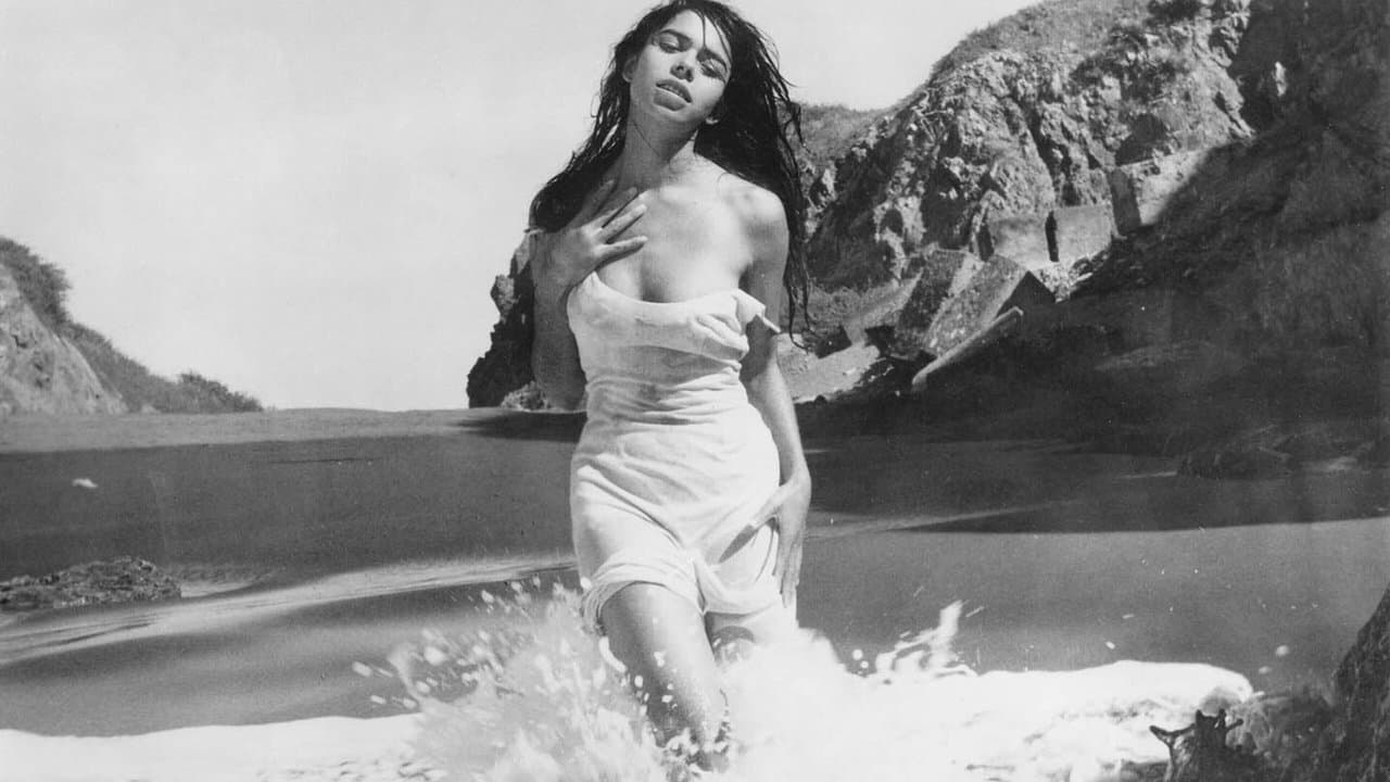 No hay cruces en el marの背景画像